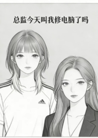 总监今天叫我修电脑了吗